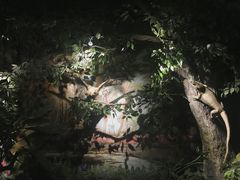-南山植物园