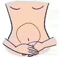 -香薇妮丝女子减肥院