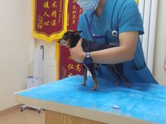 -芭比堂动物医院·CT·微创中心(新顺分院)