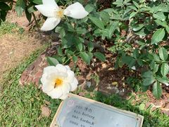 -人民公园(罗湖区)