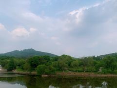 -紫金山山顶公园