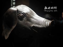 -闵行博物馆