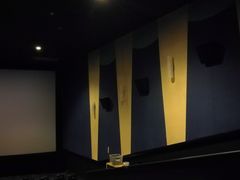-AMG海上明珠影城(上海环球港RealDCinema店)