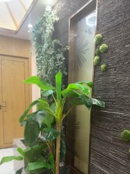 -芳朵美容养生SPA
