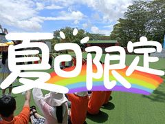 -松山湖南湖湾露营营地