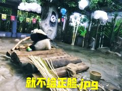 -海南热带野生动植物园