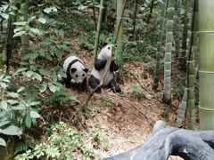 -石燕湖生态旅游景区