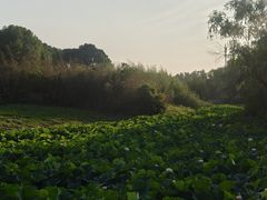 -阳澄湖半岛旅游度假区