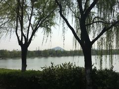 -羊山湖公园