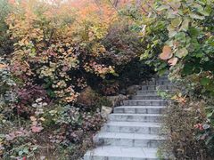 -鬼笑石后山停车场