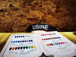 -MC皮肤管理中心