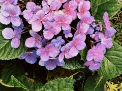 -五月花商业广场(中山五路店)