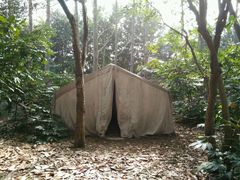 -滨江森林公园-真人CS野战场