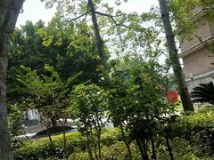 -平安（深圳）金融教育培训中心