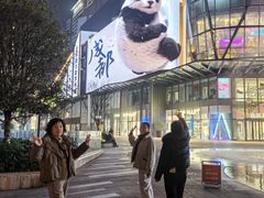 -合景·悠方(成都店)
