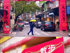 -溪岸路花鸟市场