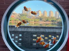 -珠海圆明新园