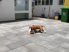 -NEA BAY咖啡馆