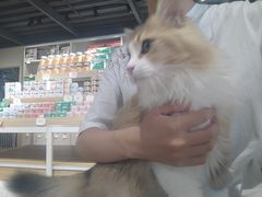 -听TA说宠咖·宠物生活馆(天韵水岸店)