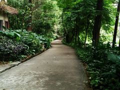 -南岗山公园