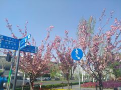 -梅赛德斯奔驰文化中心·停车场