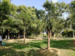 -艾溪湖湿地公园