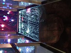 -横店影视城梦幻谷园区