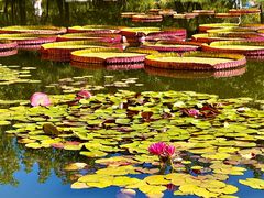 -国家植物园南园