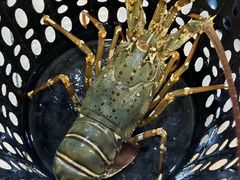 -ZF Seafood Restaurant 卓峰海鲜餐