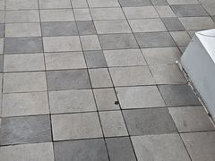-湖锦酒楼·旗舰店(三阳总店)