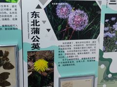 -吉林省自然博物馆