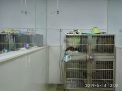 -成都民大动物医院