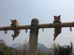 -黄色小屋