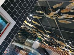 -好彩猪肚鸡(正弘城店)