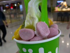 -Salud撒露欧洲冻酸奶(五道口购物中心店)