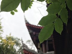 -香园自助小火锅