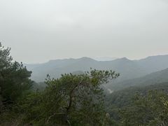 -十里琅珰