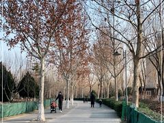 -东升八家郊野公园