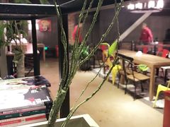 -第三空间·趣味桌游·轰趴.室内CS.剧本杀(大武汉1911店)