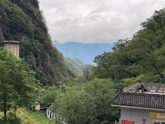 -牛背梁国家森林公园