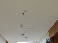 -上海仁爱医院