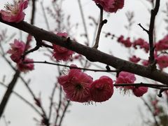 -南湖湿地公园