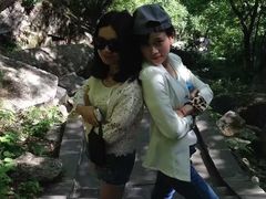 -洛阳白云山景区