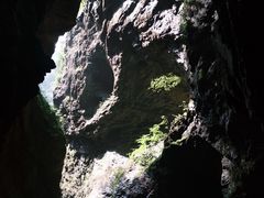 -牛背梁国家森林公园