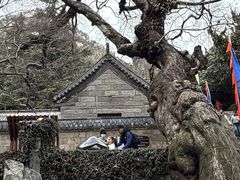 -青岛崂山太清宫