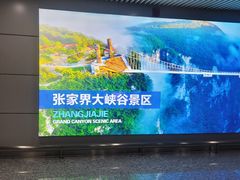-张家界荷花国际机场