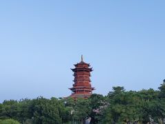 -厦门园林博览苑