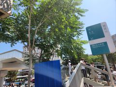 -首都医科大学附属北京同仁医院(西区)