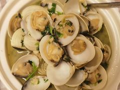 橄欖油香蒜炒蜆-船屋葡国餐厅