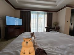 -三亚亚龙湾铂尔曼别墅度假酒店